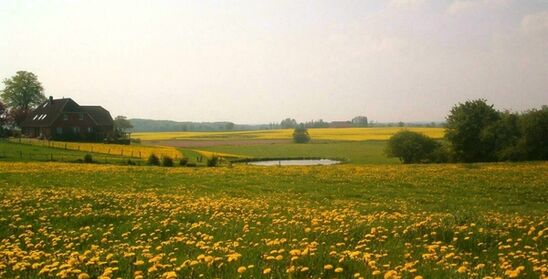 Landschaft